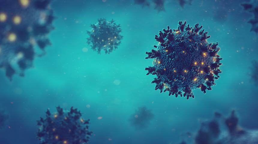 Kovid-19 diken proteini, hücreleri istila için en az 10 şekle bürünüyor