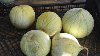 İstanbul’da en çok ses ve görüntü sistemi pahalandı, kavun ucuzladı