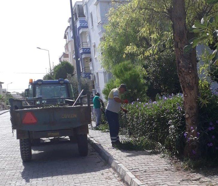 Didim’de çevre temizliği çalışmaları devam ediyor G1