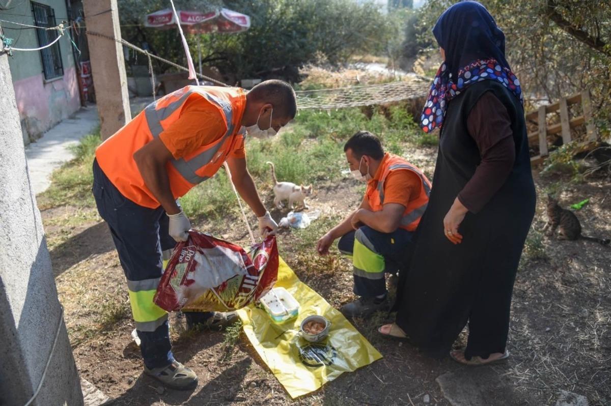 Altındağ Belediyesi, minik kedi yavrularına sahip &ccedil;ıktı