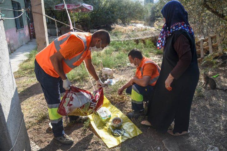 Altındağ Belediyesi, minik kedi yavrularına sahip çıktı G1