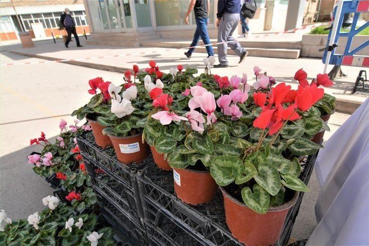 Sandıklı Belediyesinin mevsimlik çiçeklerine büyük ilgi G1