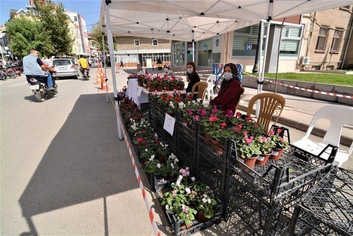 Sandıklı Belediyesinin mevsimlik çiçeklerine büyük ilgi G4