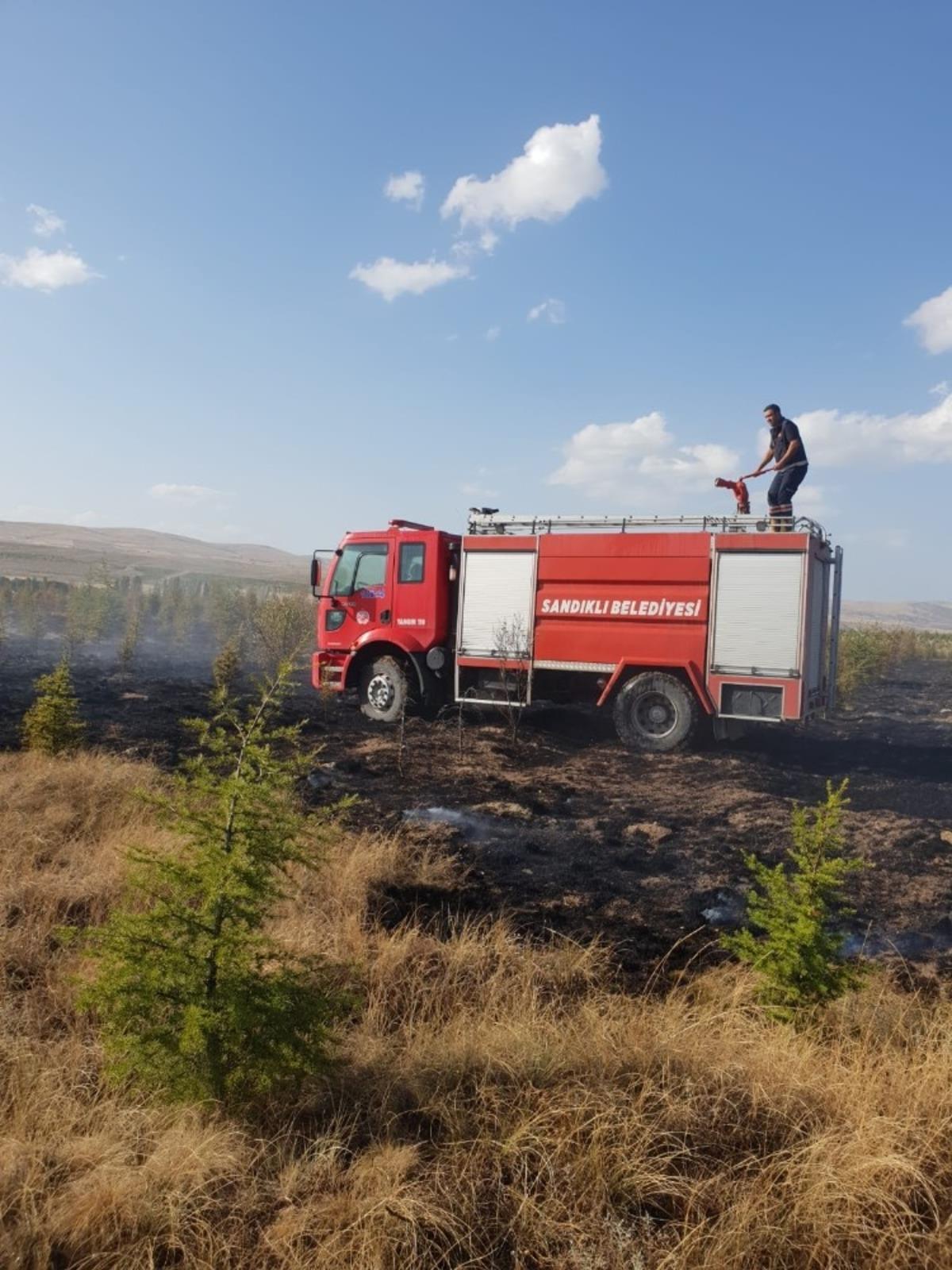 &Ccedil;ıkan yangında &ccedil;am ağa&ccedil;ları zarar g&ouml;rd&uuml;