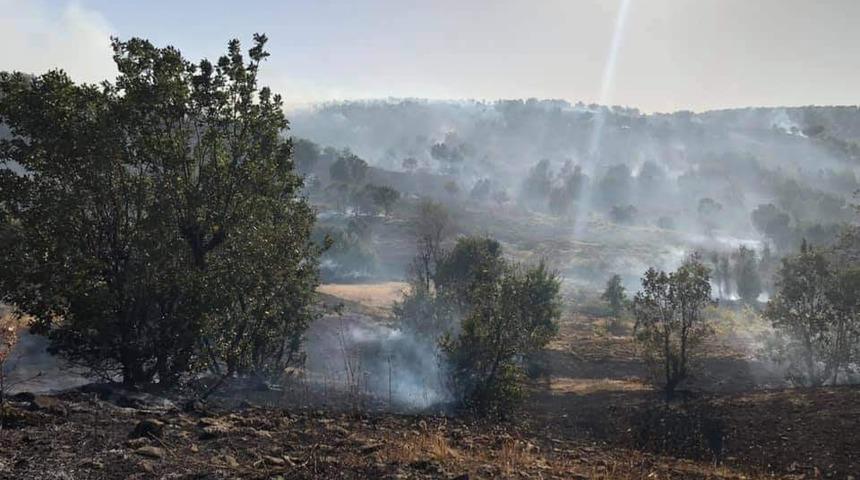 Arıcak&rsquo;taki orman yangını s&ouml;nd&uuml;r&uuml;ld&uuml;