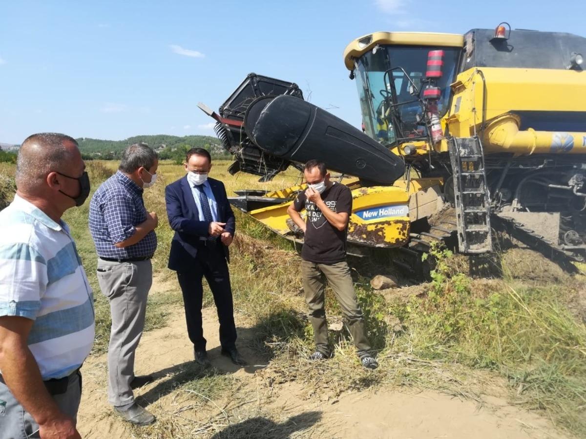 Sarayd&uuml;z&uuml;&rsquo;nde &ccedil;eltik hasadı devam ediyor