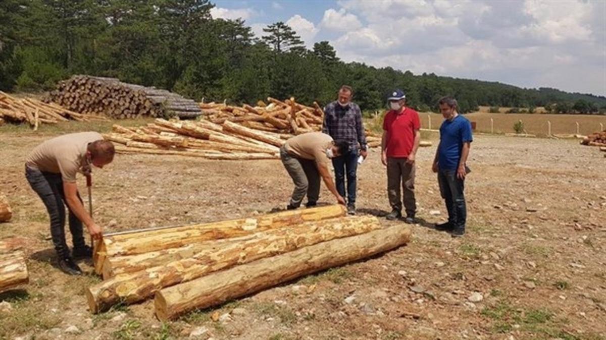 Ormanda ihtiyaca g&ouml;re &uuml;retim