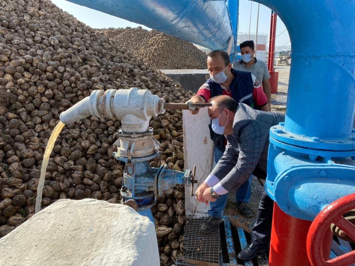 Şeker pancarında 90 g&uuml;nl&uuml;k tatlı yolculuk başladı