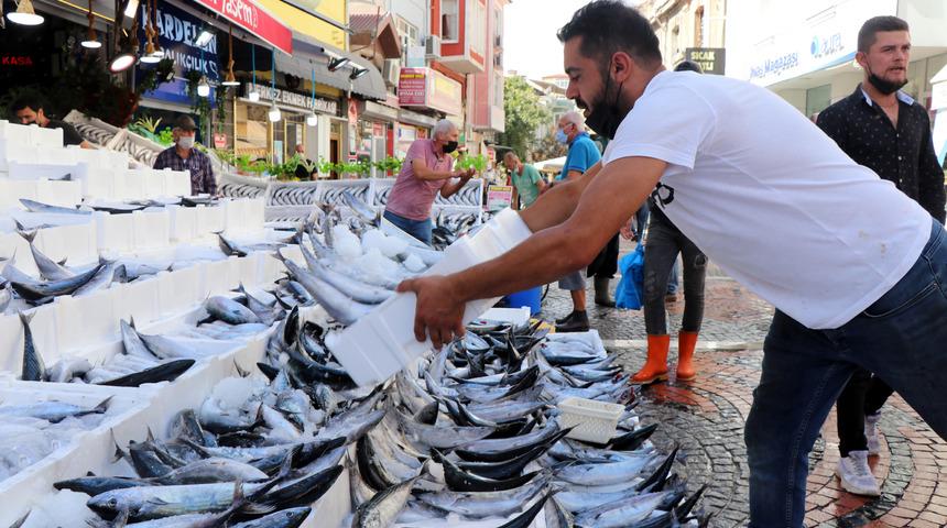  Edirne'de, palamut tezgahlarda 10 liraya kadar düştü