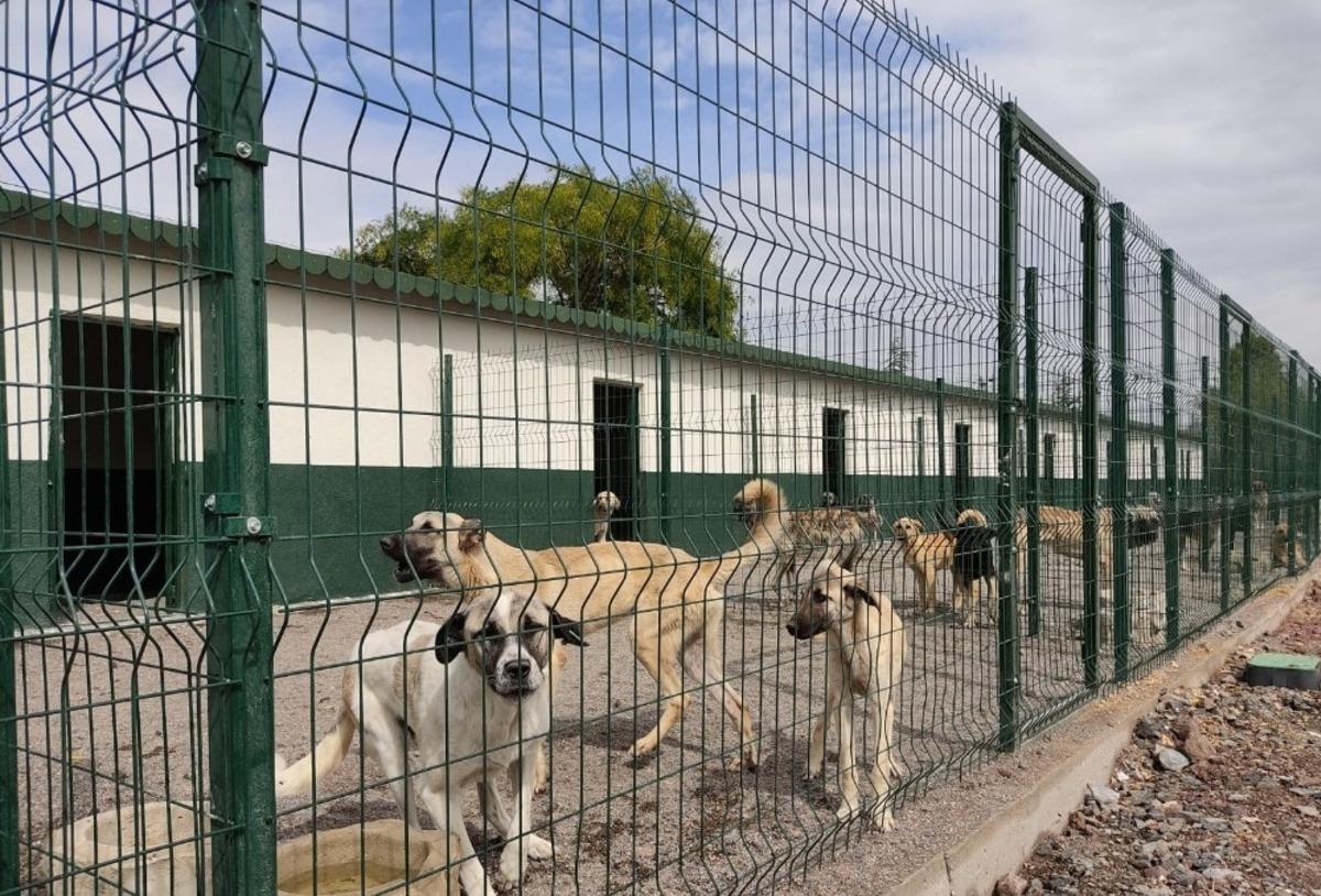 Sincan Ge&ccedil;ici Bakım Evi ve Rehabilitasyon Merkezi yakında hizmete girecek