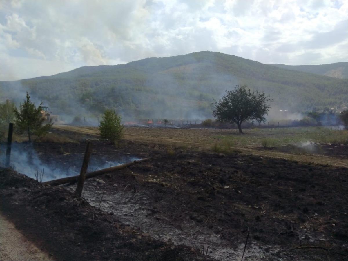 Belen Kahvesi mevkiindeki yangın kontrol altına alındı