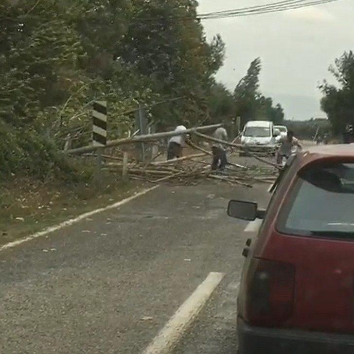 Bursa'da şiddetli rüzgar ağaçları devirdi, yol trafiğe kapandı