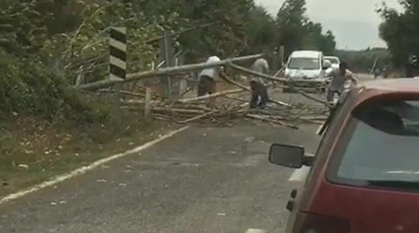 Bursa&rsquo;da r&uuml;zgar ağa&ccedil;ları devirdi, yol trafiğe kapandı