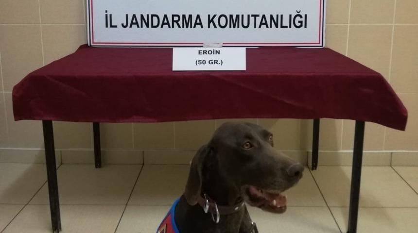 Jandarma uyuşturucu satıcılarına g&ouml;z a&ccedil;tırmıyor