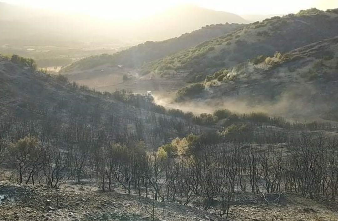 Denizli&rsquo;deki orman yangını kontrol altına alındı