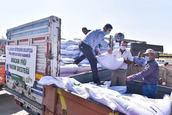 Başkentte 25 ilçenin toprağı tohumla buluşuyor G3