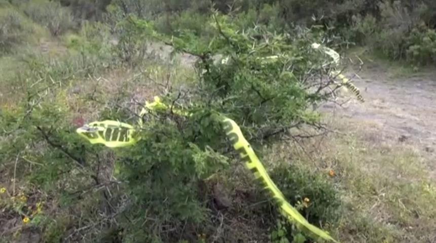 Meksika'da gizli mezarlarda 23 ceset bulundu