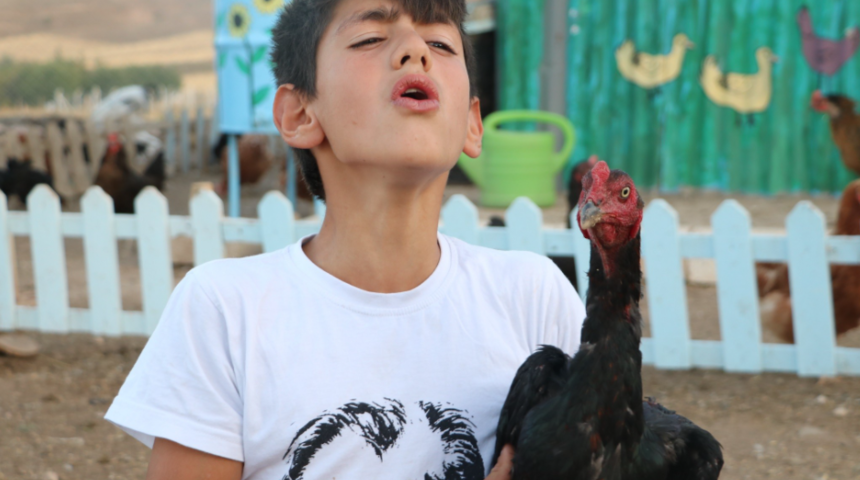 Horozlarla atışıyor, tavuklar onu horoz sanıyor