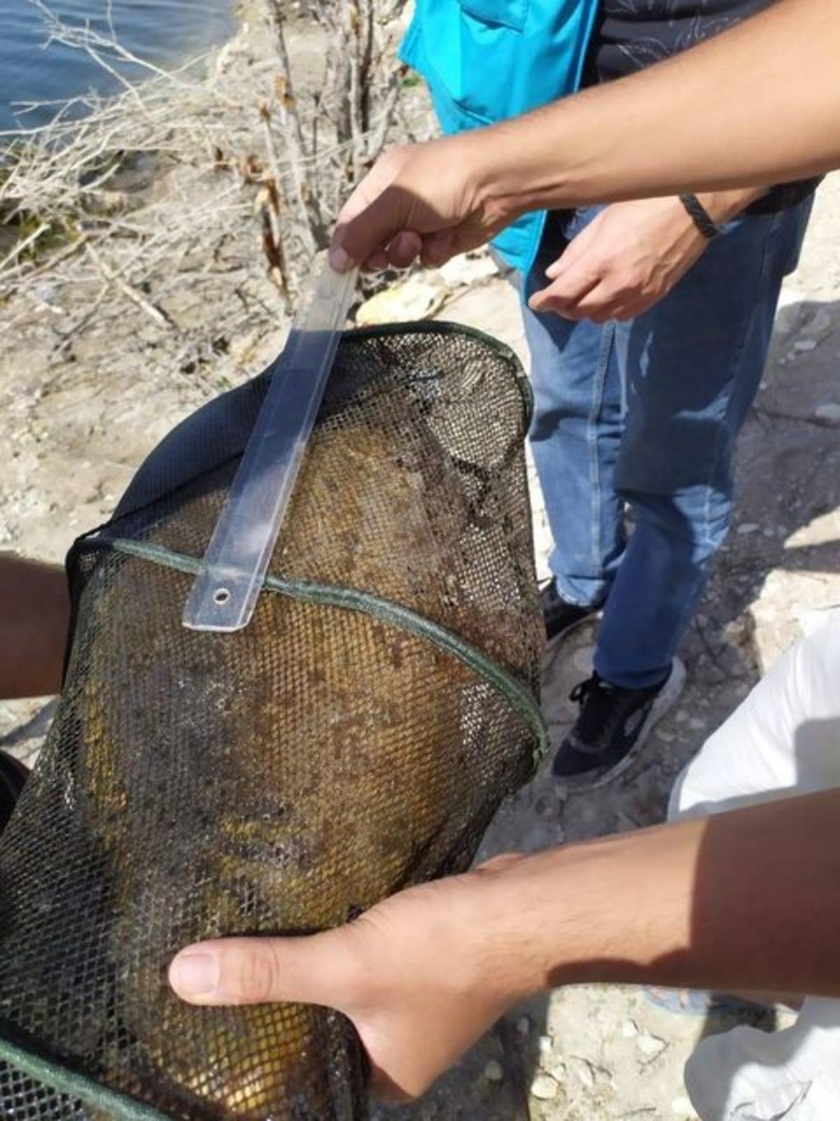 Olta balık&ccedil;ılarına denetim