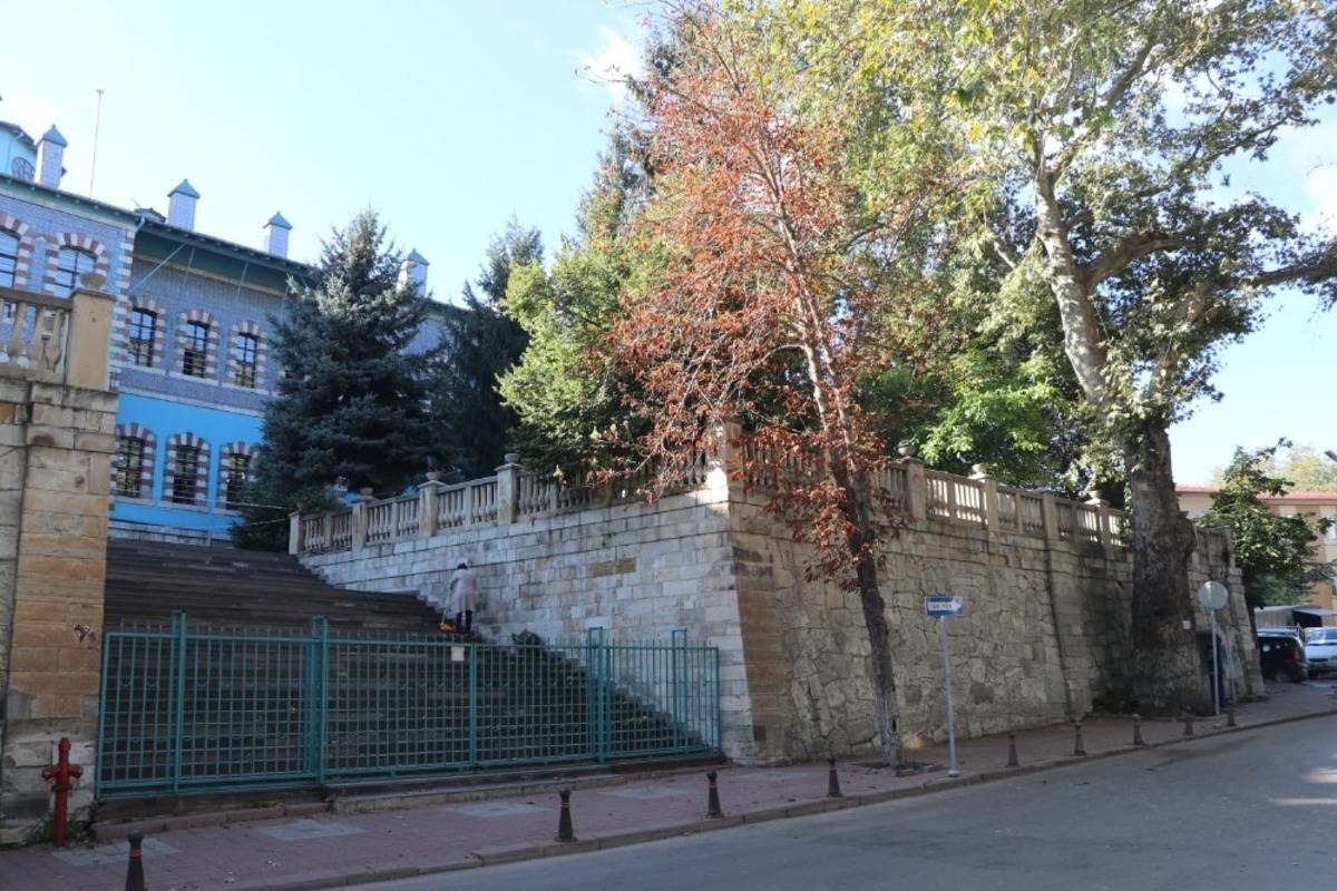 K&uuml;tahya&rsquo;da &ldquo;&Ccedil;ınar ağa&ccedil;larının yaşı&rdquo; tartışması