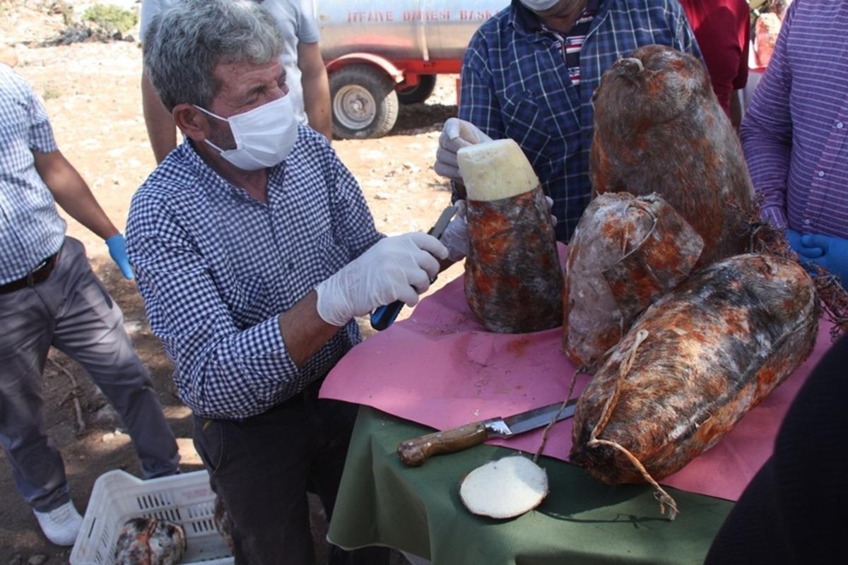 Peynirler mağaralardan &ccedil;ıkarılmaya başlandı