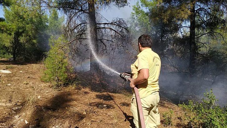 Denizli’deki orman yangınında kundaklama şüphesi G3