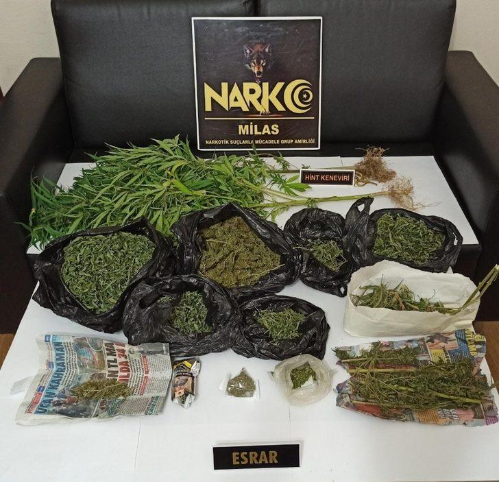 Saksı içinde hint keneviri yetiştiren şahıs tutuklandı G1