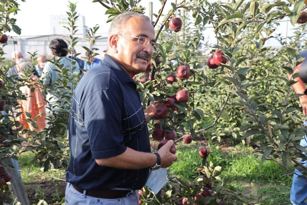 OD&Uuml; meyve bah&ccedil;esinde hasat şenliği