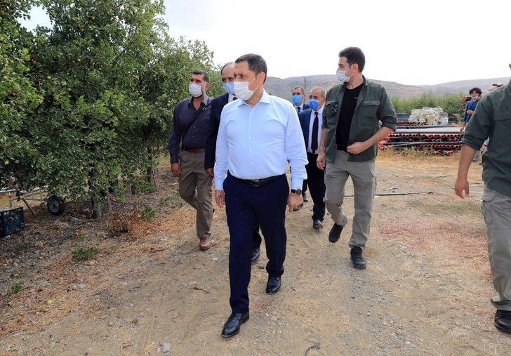 Vali Masatlı, ‘hünnap’ hasadına katıldı G4