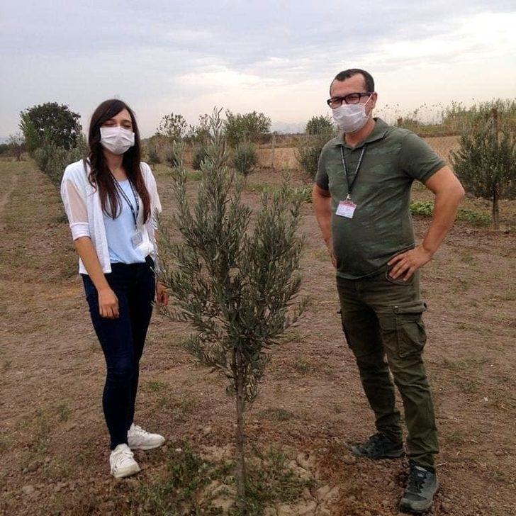 Aliağa’da tarıma destek sürüyor G2