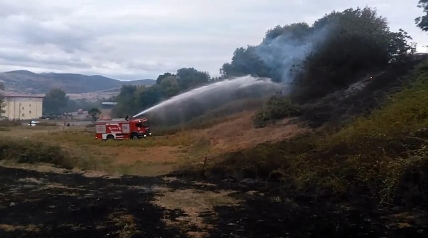 Anız yangını ağa&ccedil;lık alana sı&ccedil;radı