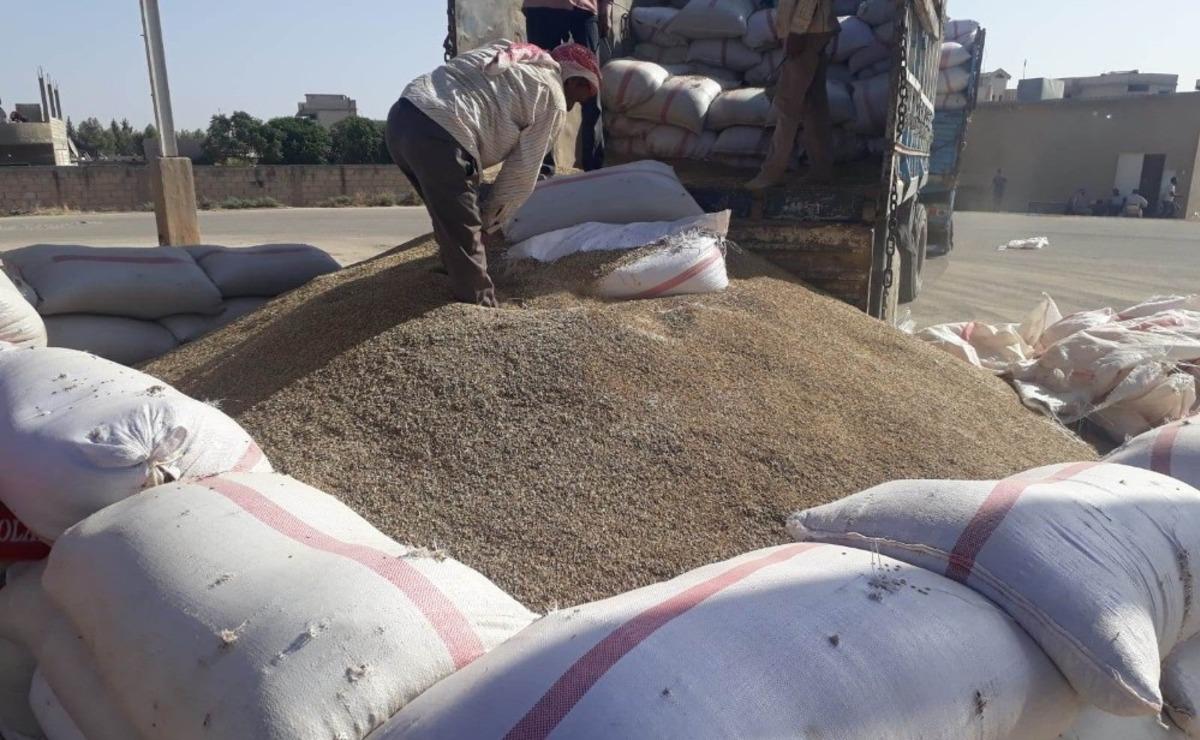 Resulayn&rsquo;dan hububat alımı başladı