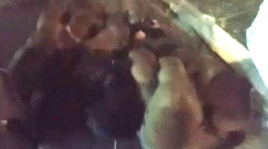 B&uuml;y&uuml;k vicdansızlık! Yavru k&ouml;pekler &ccedil;uval i&ccedil;erisinde sokağa atıldı