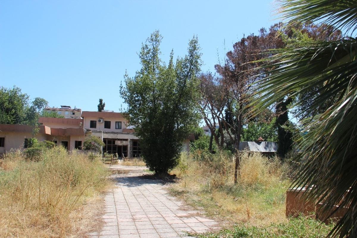 Taşınan m&uuml;zenin bah&ccedil;esindeki &ccedil;am ağa&ccedil;ları ilgin&ccedil; bir şekilde kurudu