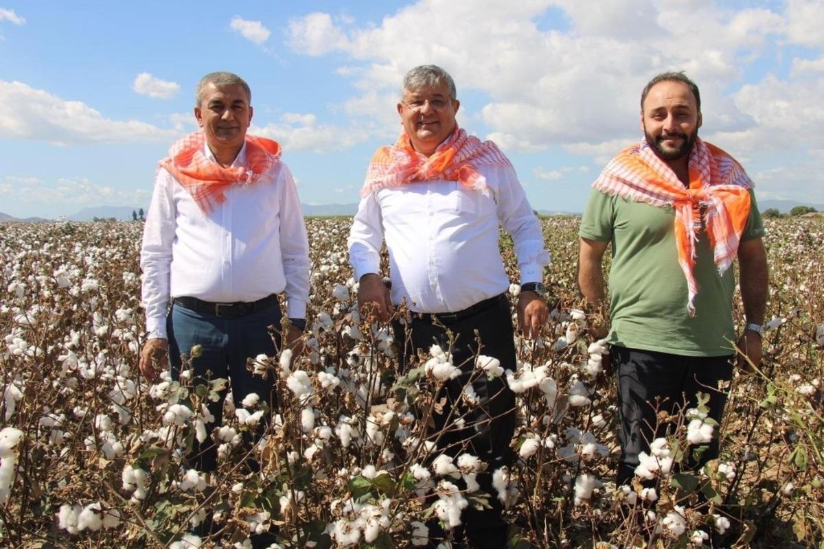 Ko&ccedil;arlı&rsquo;da Başkan Kaplan pamuk hasadı yaptı