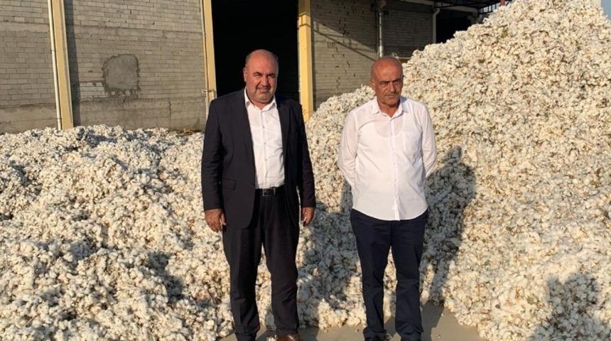 Diyarbakır’da ‘beyaz altın’ hasadına başlandı