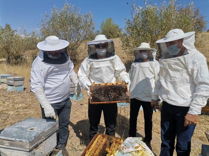 Tunceli Hozat’ta bal zamanı G1