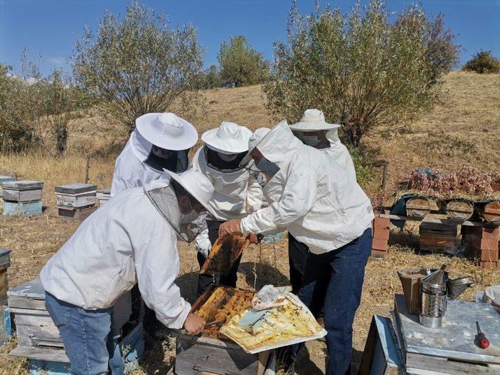 Tunceli Hozat’ta bal zamanı G2