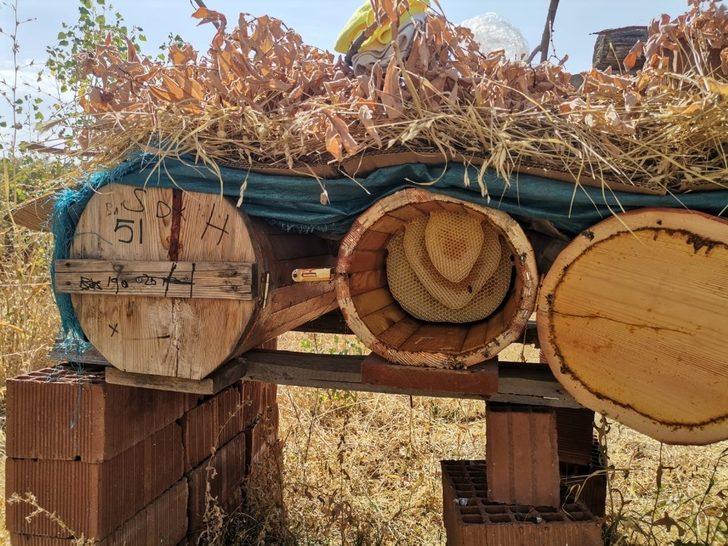 Tunceli Hozat’ta bal zamanı G3