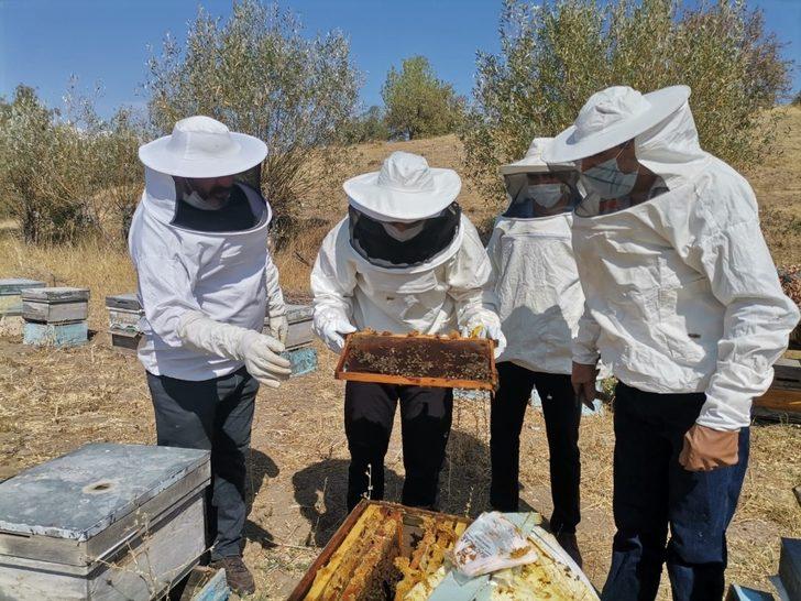 Tunceli Hozat’ta bal zamanı G4