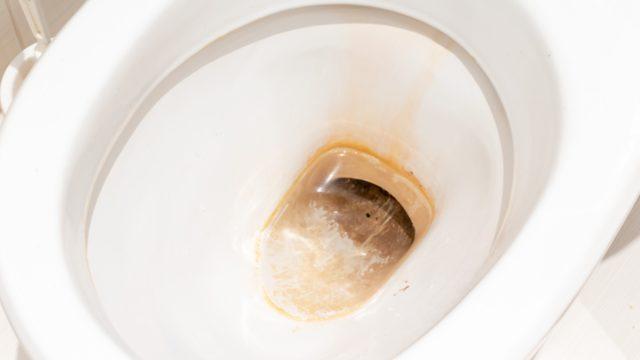 Mucize gibi! Sifon suyunun içine sirke ve karbonat katın...