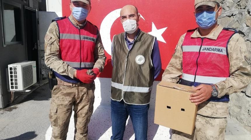 Ka&ccedil;ak avlanılan &Ccedil;obanaldatan kuşuna el konuldu