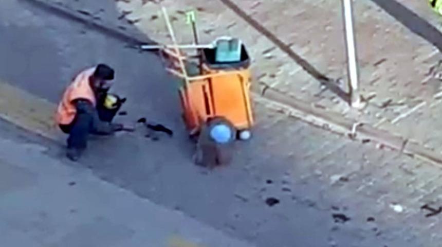 Kargayı elleriyle besledi! Temizlik işçisine ödül verildi