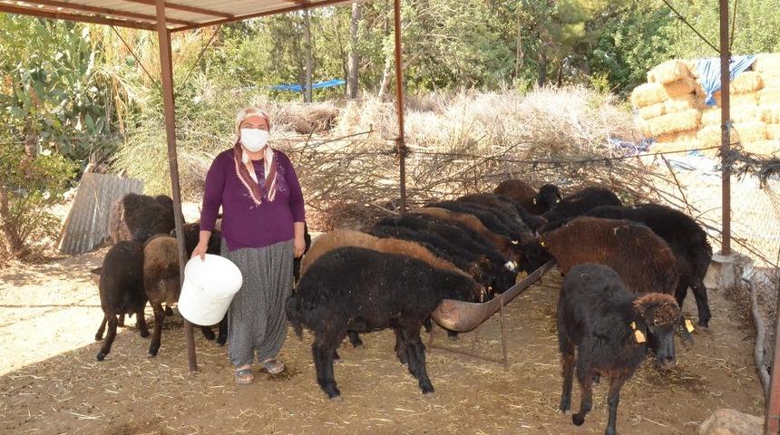 &rsquo;Haydi Gel K&ouml;y&uuml;m&uuml;ze Destek Verelim Projesi&rsquo; kadınların ve gen&ccedil;lerin umudu oldu