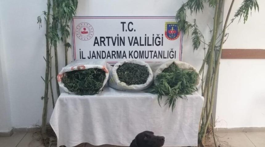 Jandarmadan uyuşturucu operasyonu