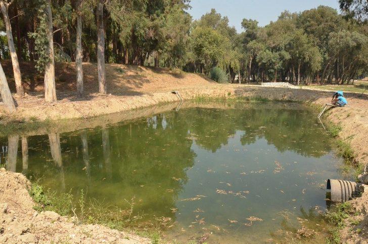 Mersin’de sivrisinekle biyolojik mücadele G2