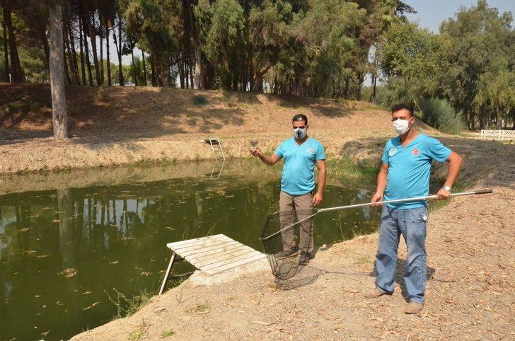 Mersin’de sivrisinekle biyolojik mücadele G3