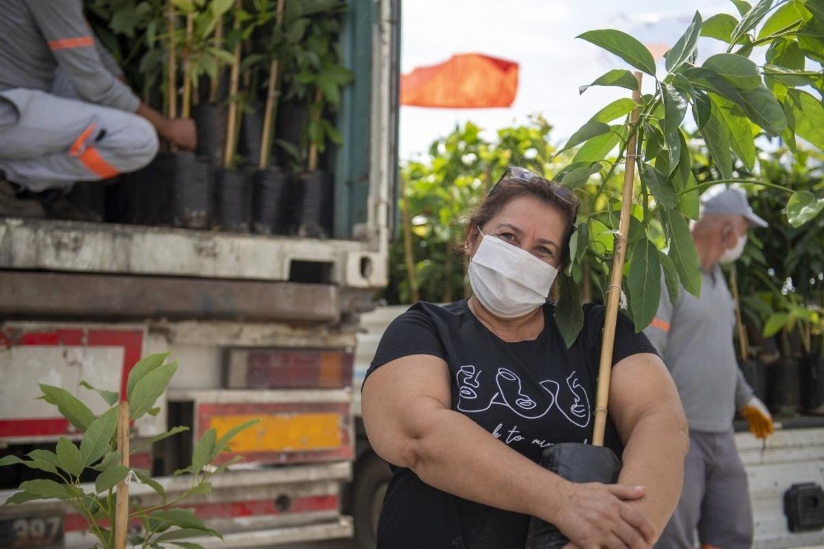 Mersin B&uuml;y&uuml;kşehir Belediyesinden &uuml;reticilere 3 bin 250 avokado fidanı
