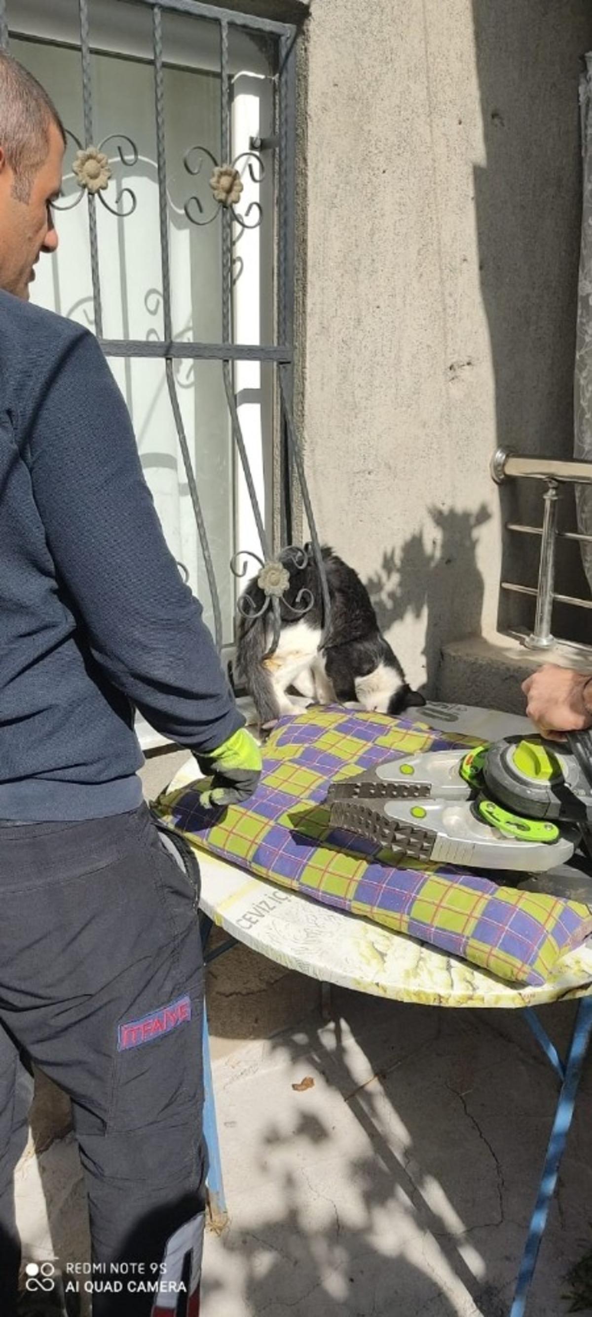 Korkuluklara sıkışan kedi kurtarıldı