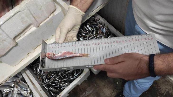 Su ürünleri satanlara sıkı takip G2